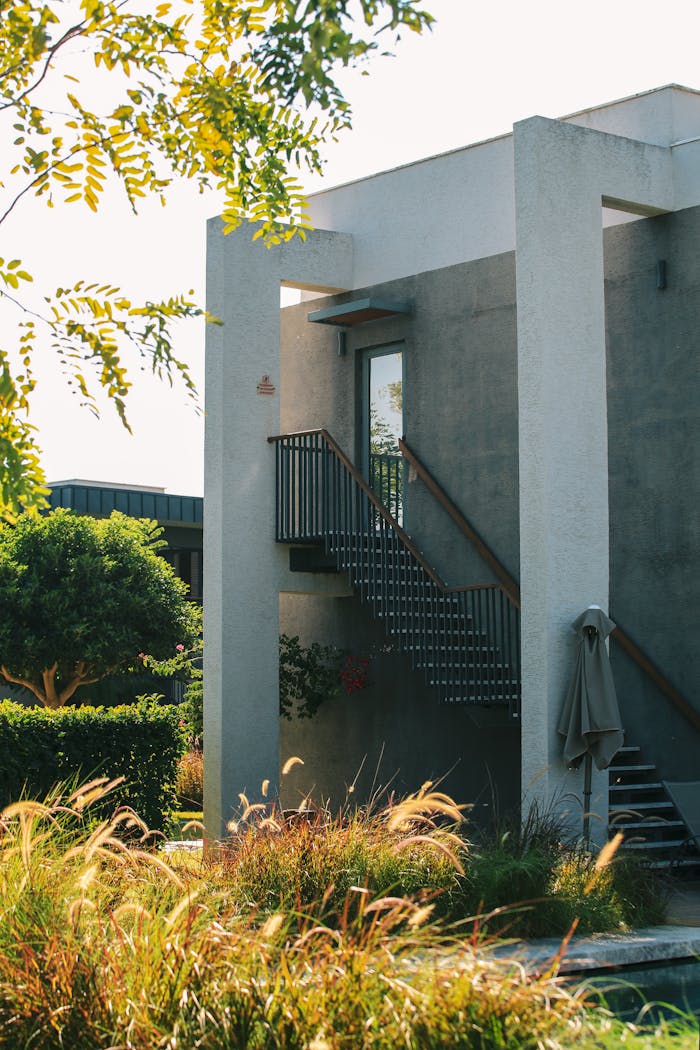 A modern house exterior with a stylish staircase surrounded by lush plants.